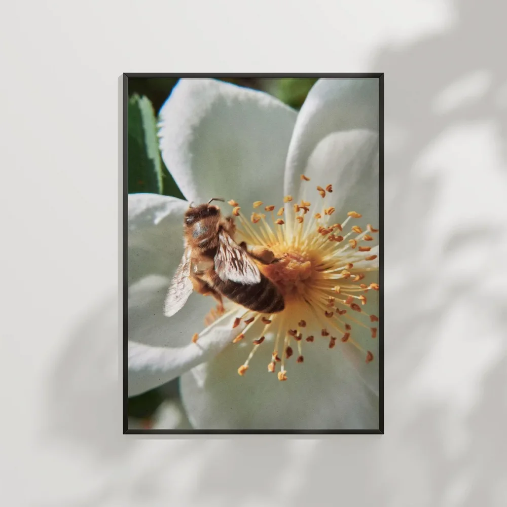 Çiçek Üzerinde Arı Poster