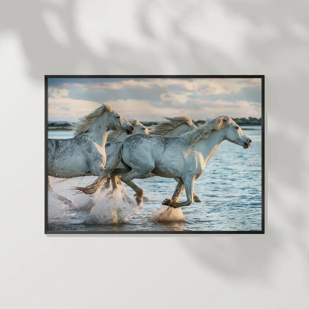 Denizdeki Atlar Poster