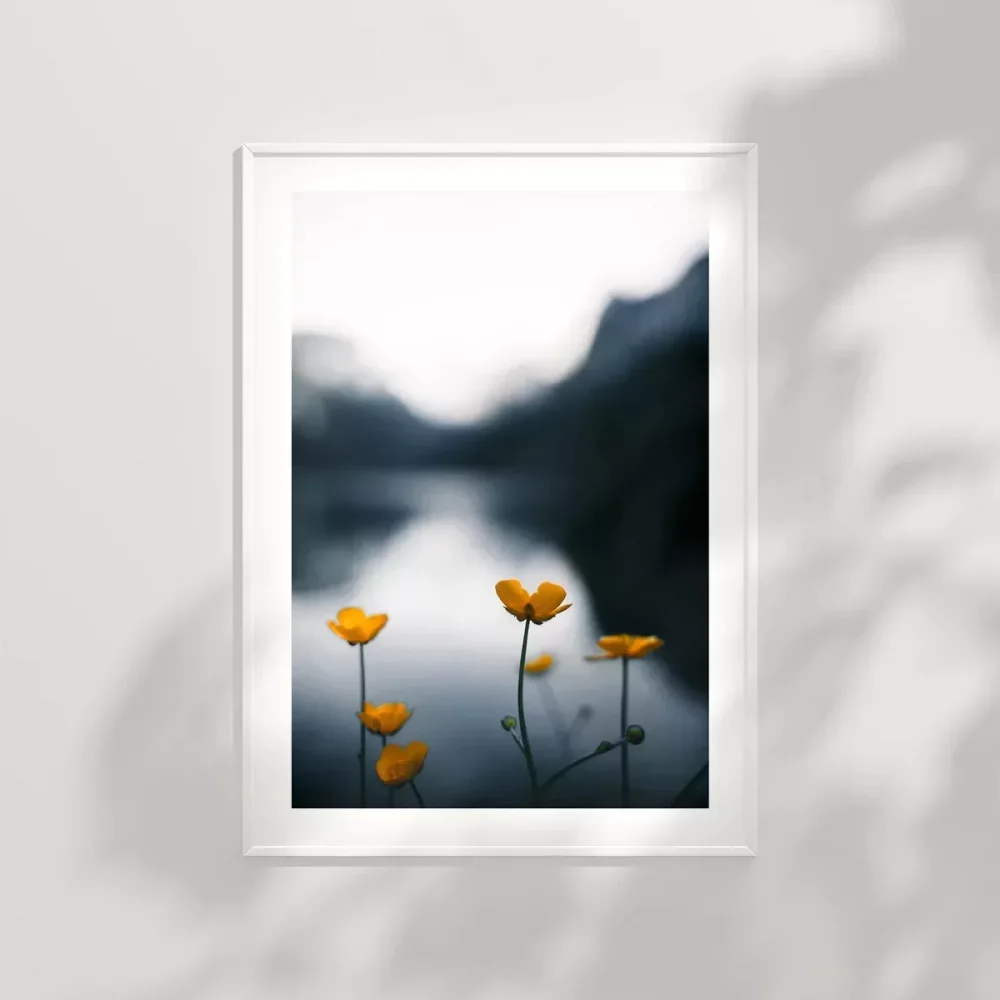 Doğanın Altınları Poster