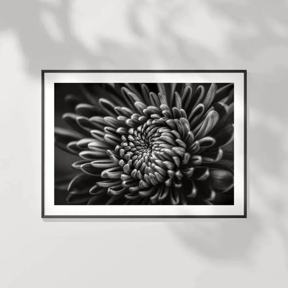 Doğanın Geometrisi Poster