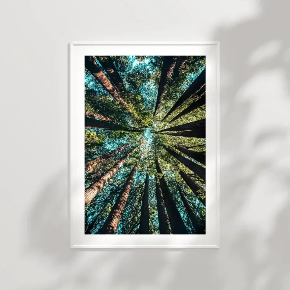 Doğanın Yüksekliği Poster