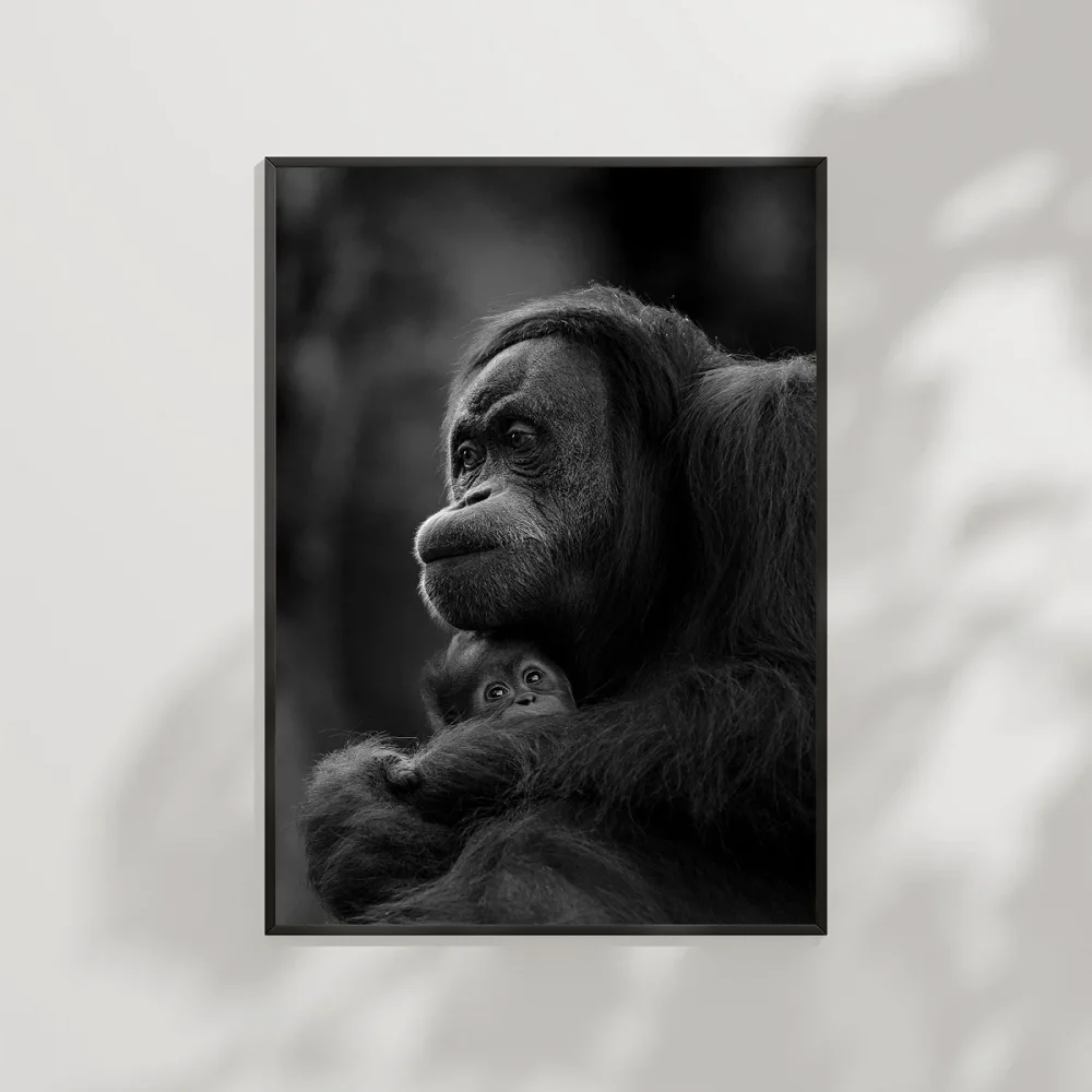 Düşünen Maymun Poster