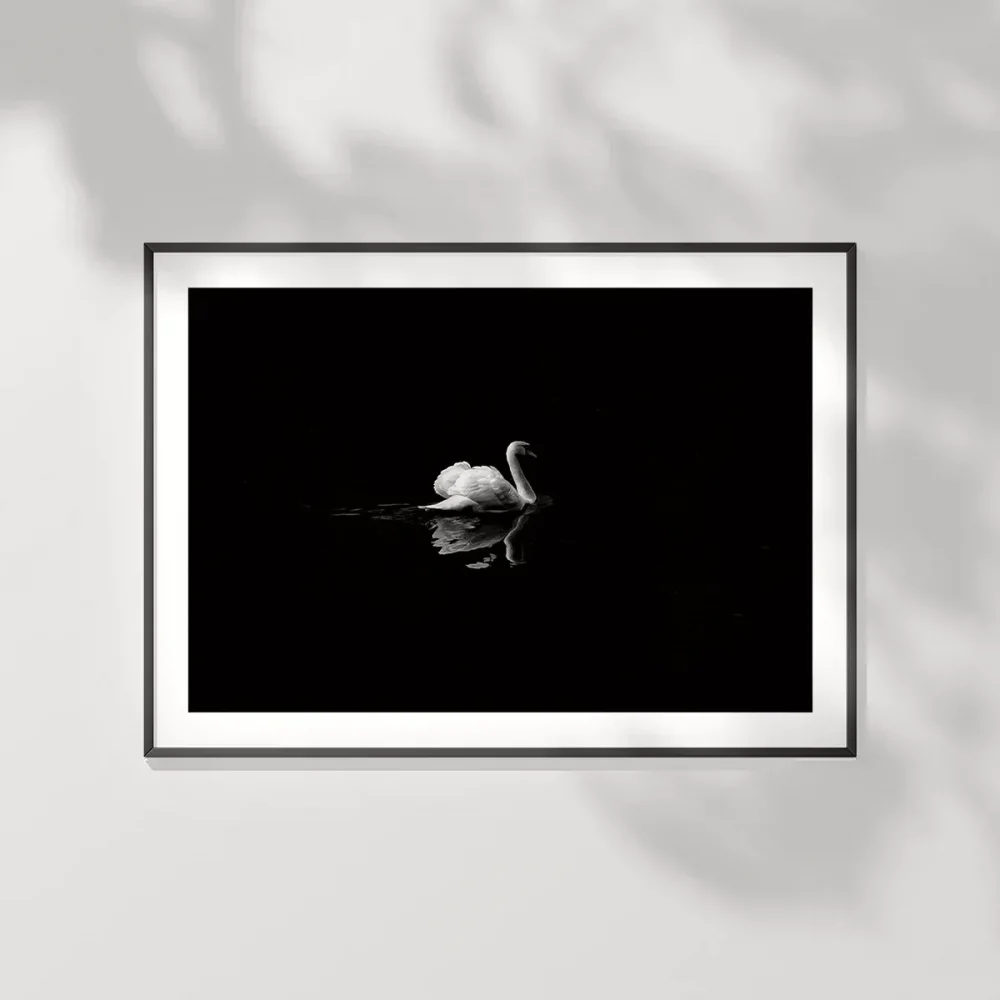 Gecenin Yalnız Kuğusu Poster