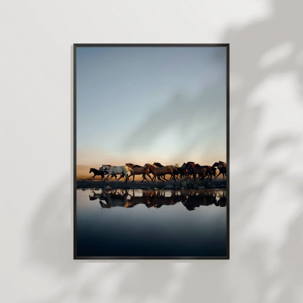 Gölde Su İçen Zebralar Poster