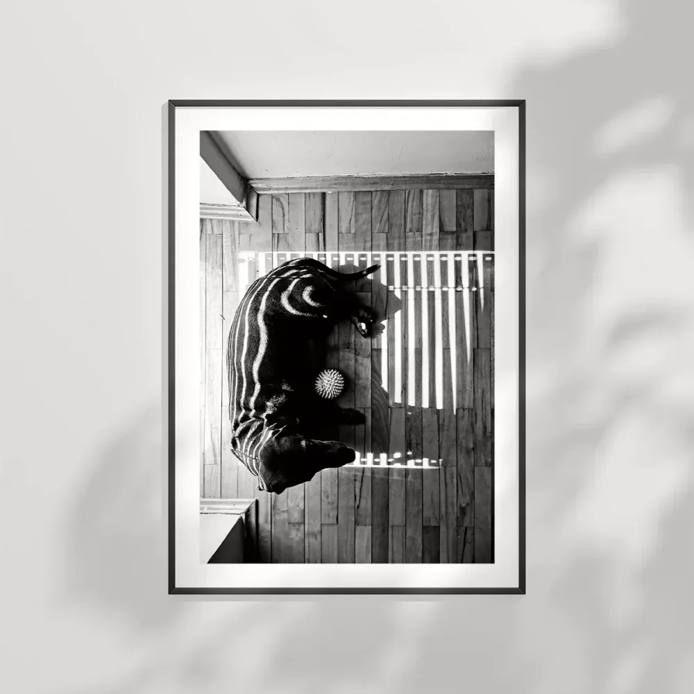 Gölge Oyunları Poster