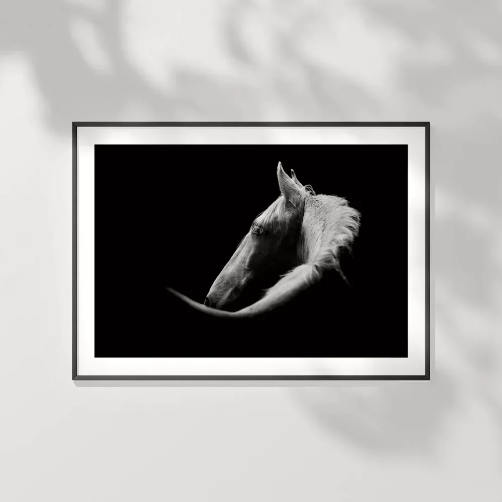 Gölgedeki Asalet Poster