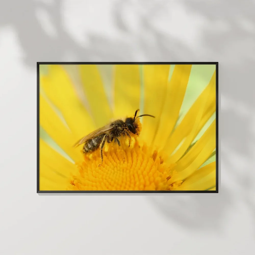 Güneş Altında Arı Poster