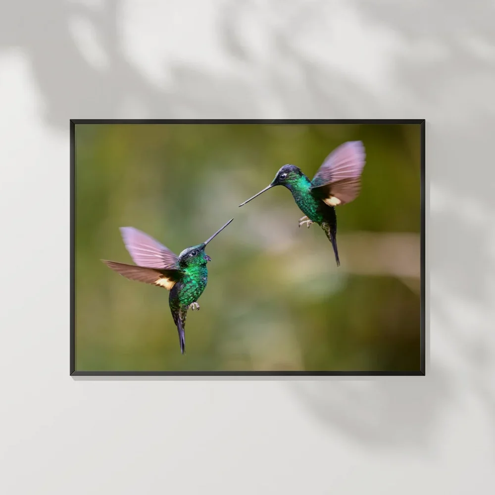 Hummingbird Savaşları Poster