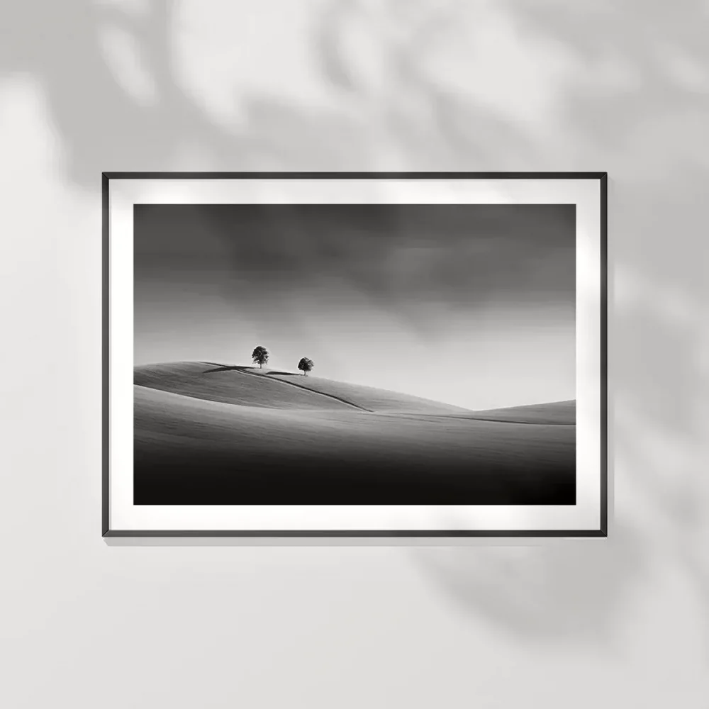 Huzurun İki Tanığı Poster