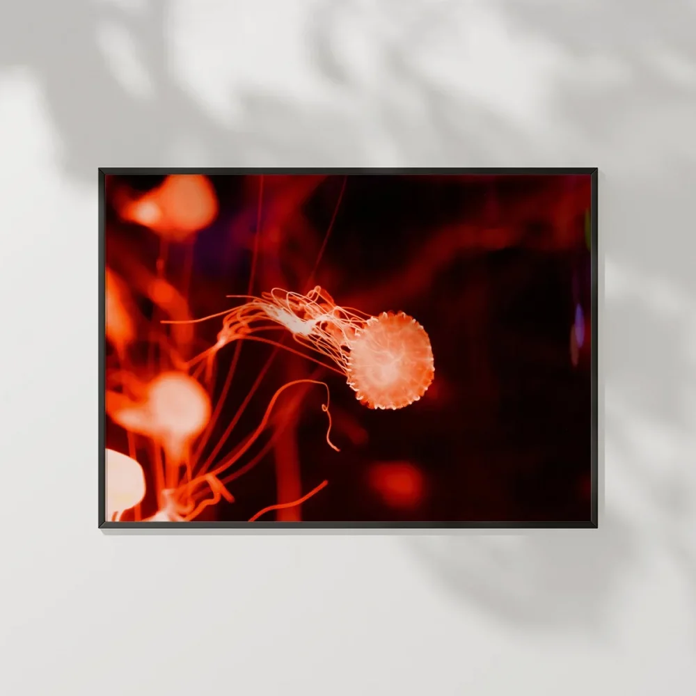 Jellyfish Bubbles Poster