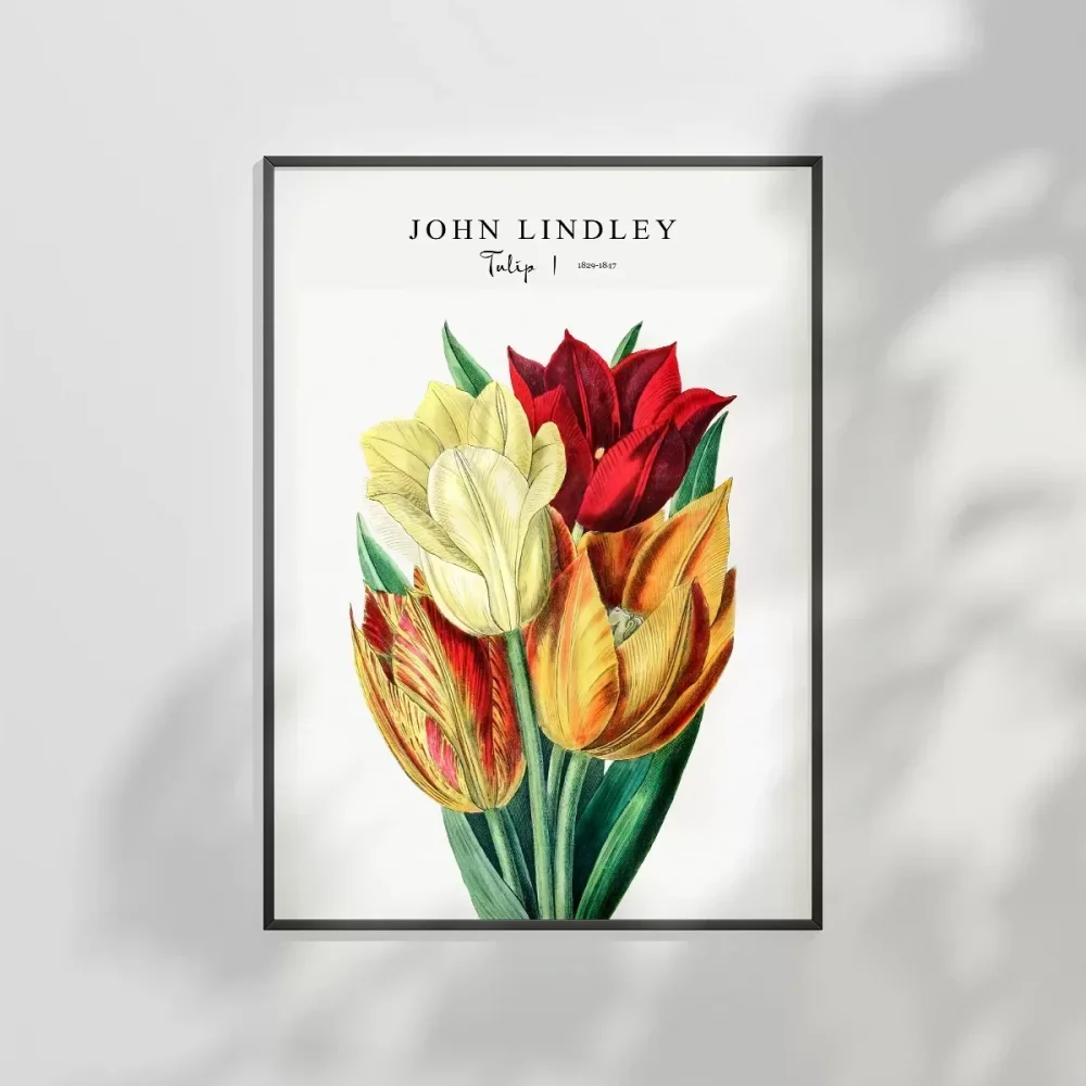 John Lindley Lale Poster