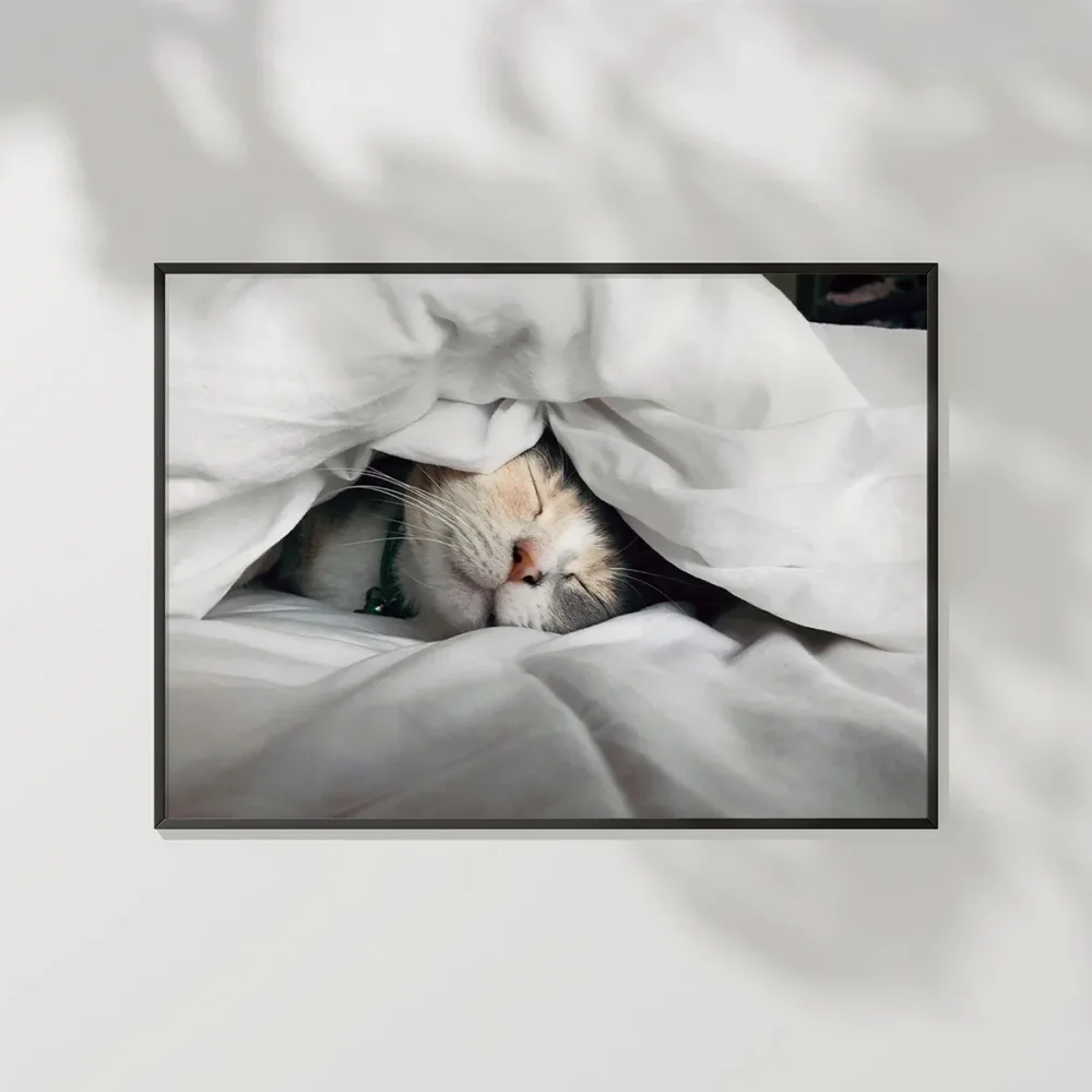 Kedili Uykular Poster