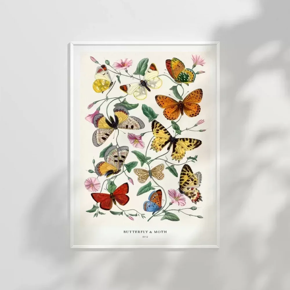 Kelebekler ve Güveler Poster