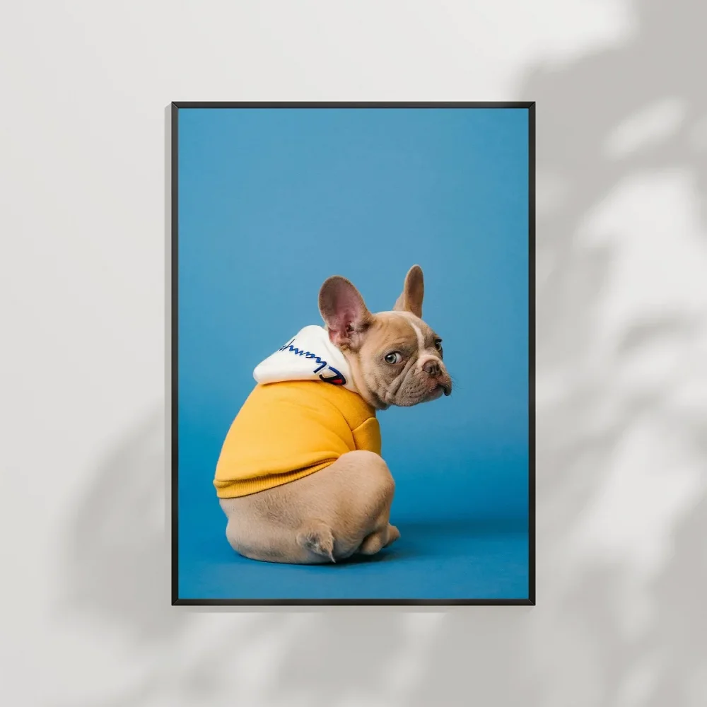 Mavi Fondaki Sarı Ceketli Köpek Poster