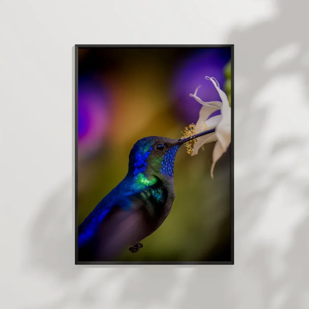 Mor Arka Planlı Sinek Kuşu Poster