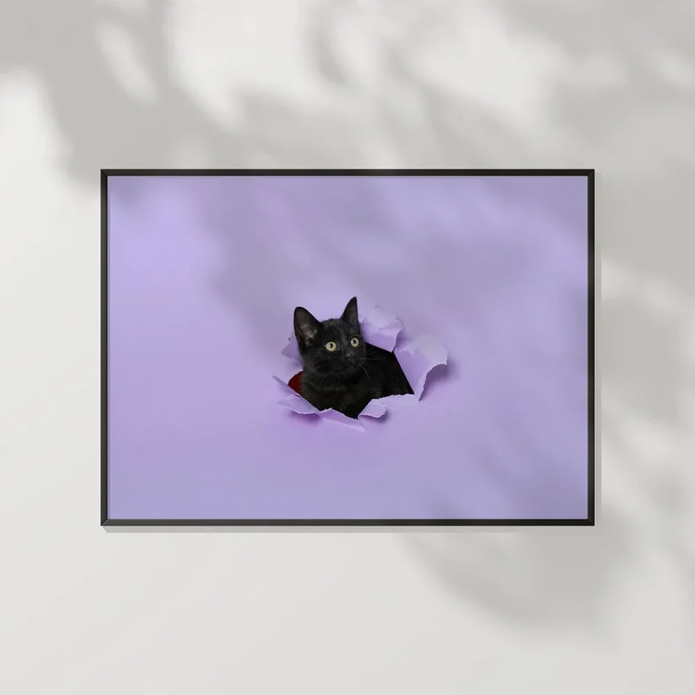 Mor Fon Üzerinde Siyah Kedi Poster