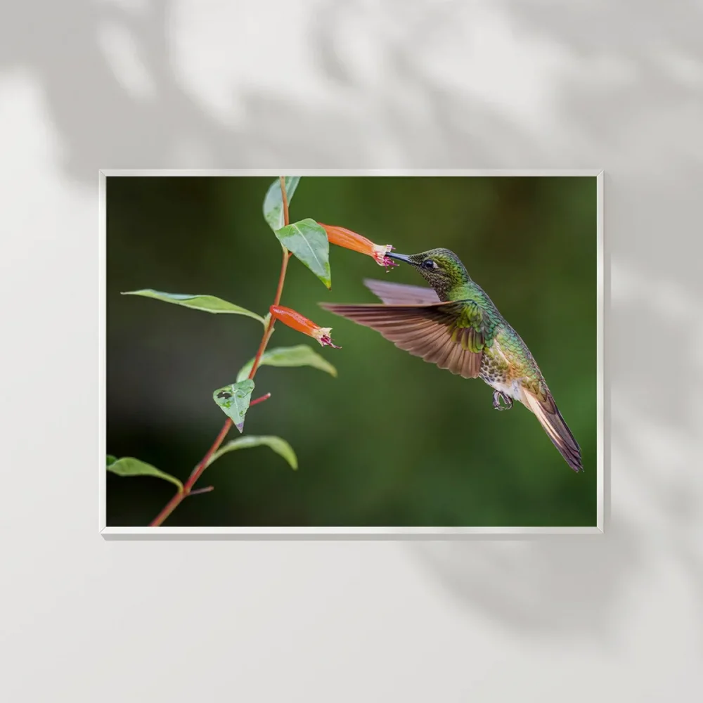 Nektar Ziyafeti Poster