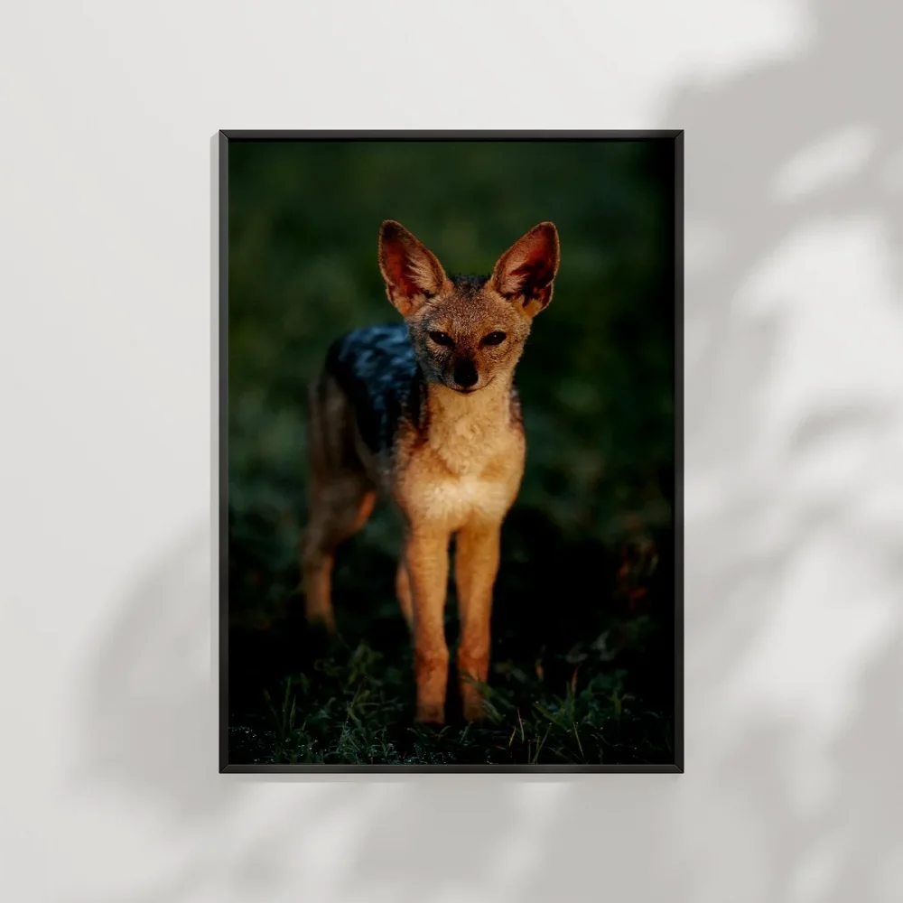 Ormanda Yavru Ceylan Poster