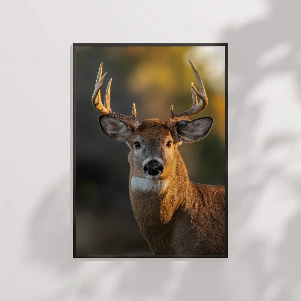 Ormandaki Geyik Poster