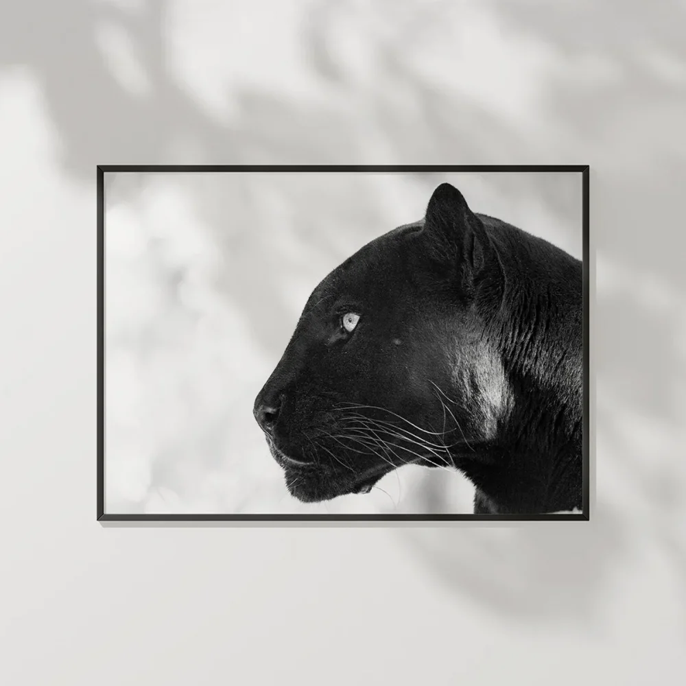 Panter Portresi Poster