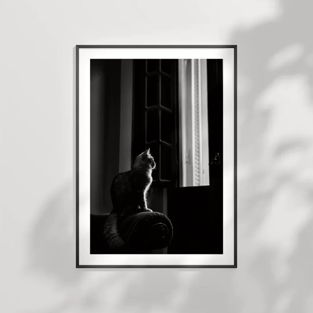 Pencere Önünde Düşler Poster