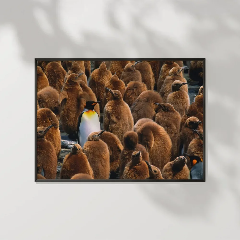 Penguenler Arasında Poster