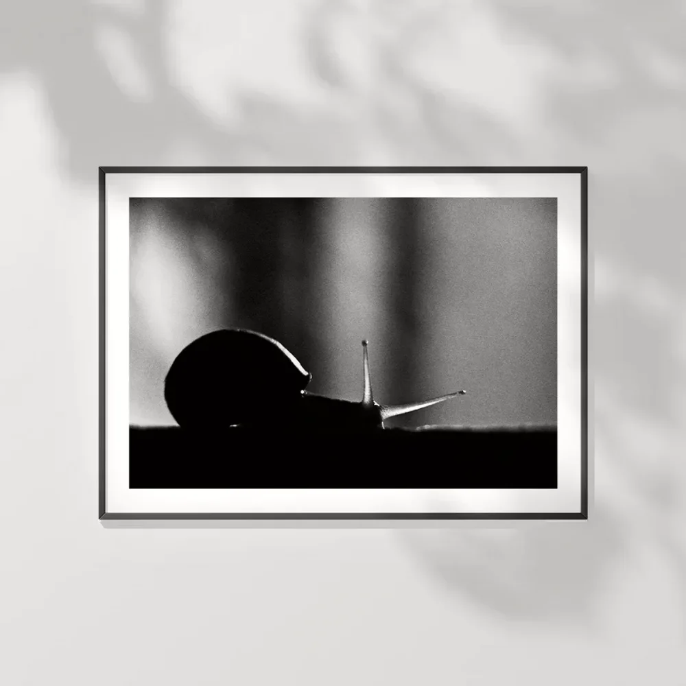 Sabırın Gücü Poster