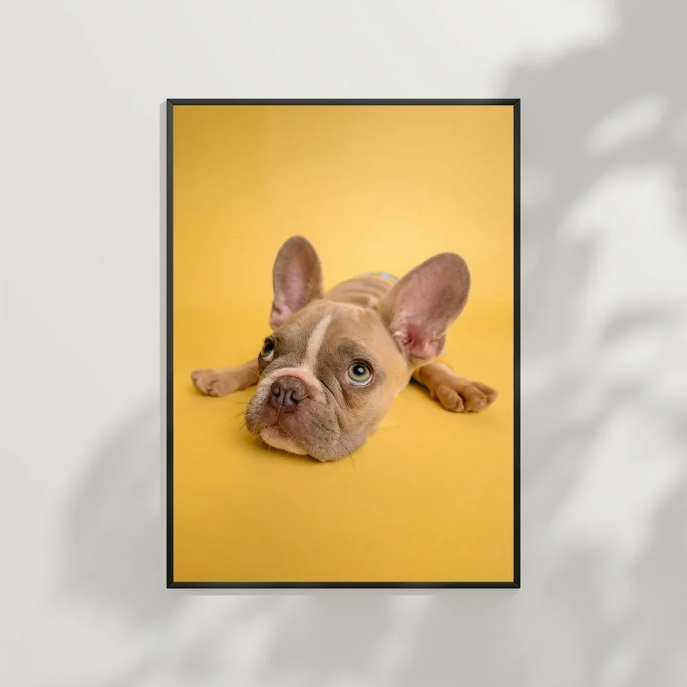 Sarı Zemin Üzerinde Sevimli Köpek Poster