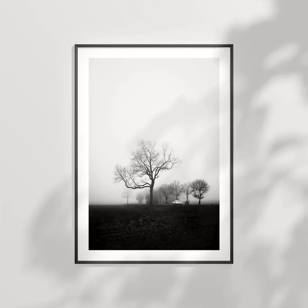 Sessiz Bir Sabah Poster