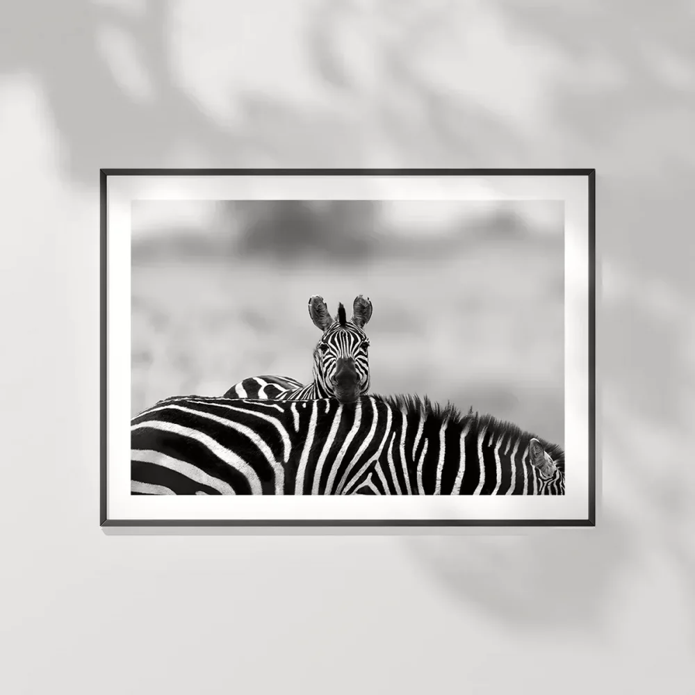 Siyah Beyaz Denge Poster