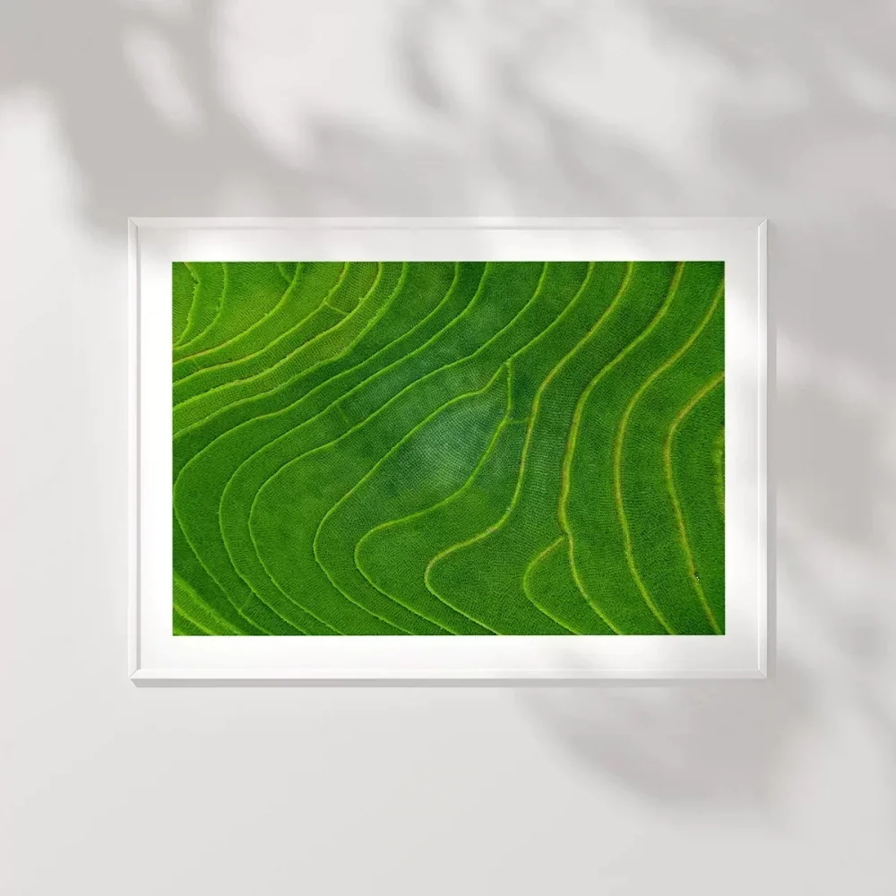 Sonsuz Yeşil Teraslar Poster