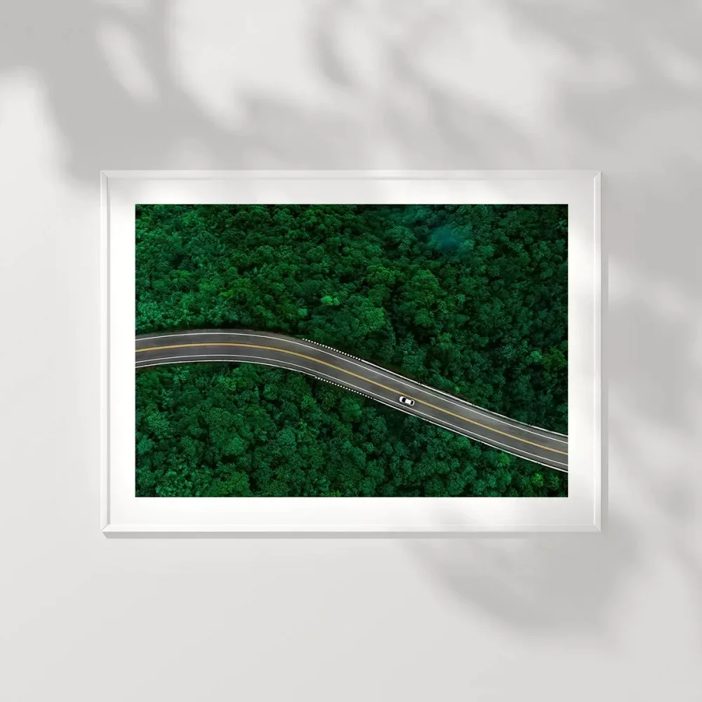 Sonsuz Yeşillikler Arasında Poster