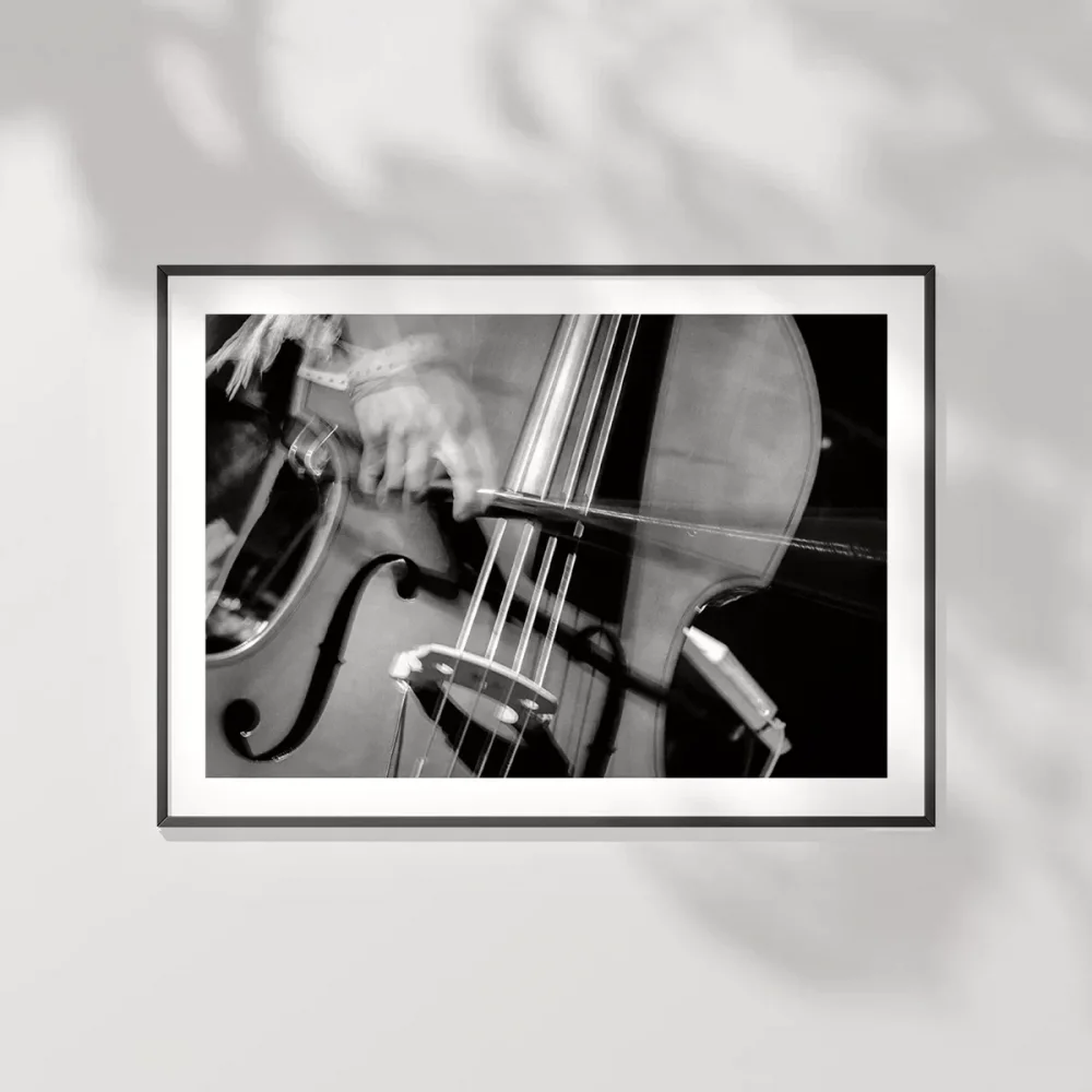 Stradivariusun İzinde Poster