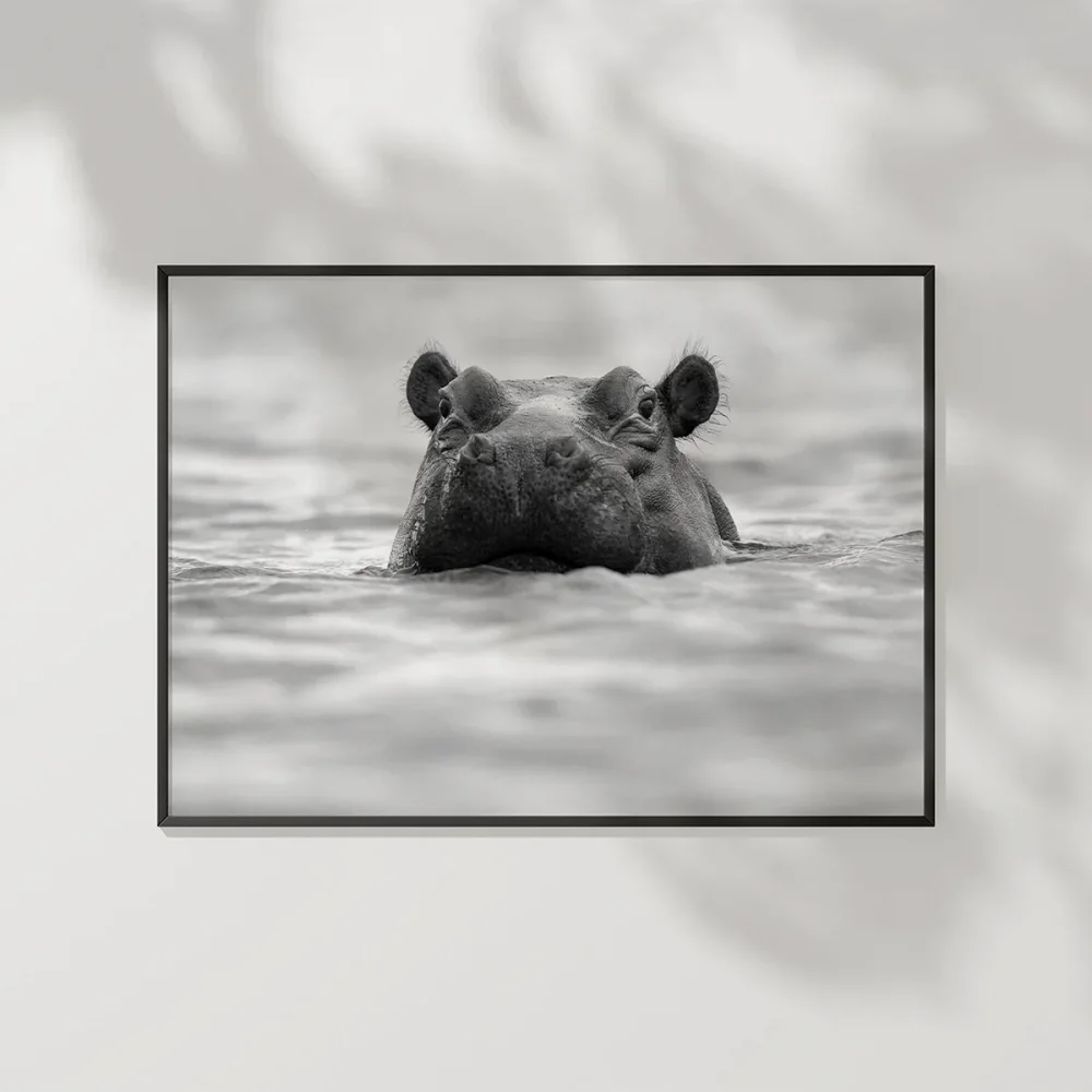 Suda Suaygırı Poster