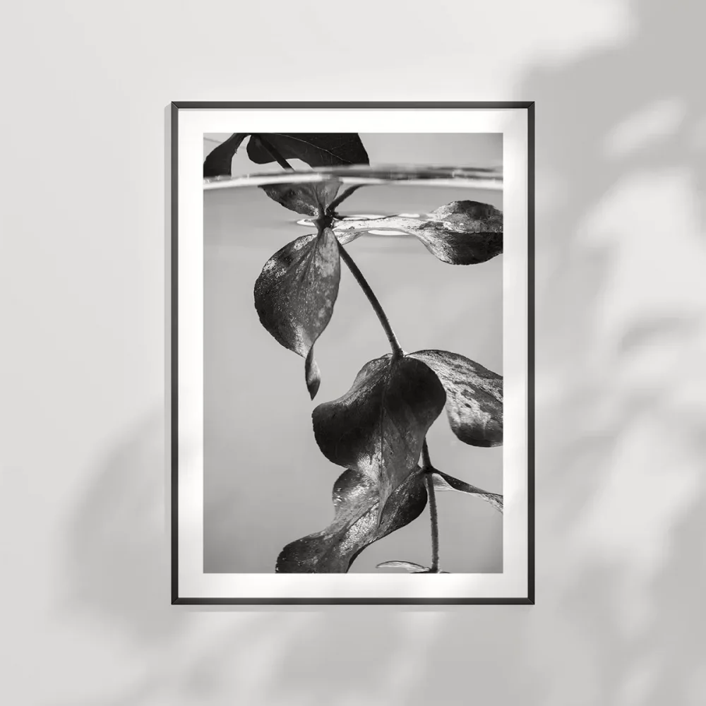 Suyun Altındaki Hayat Poster