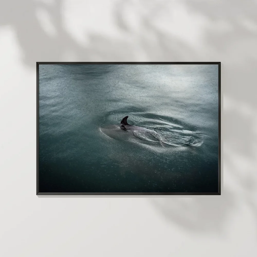 Suyun İçinde Poster