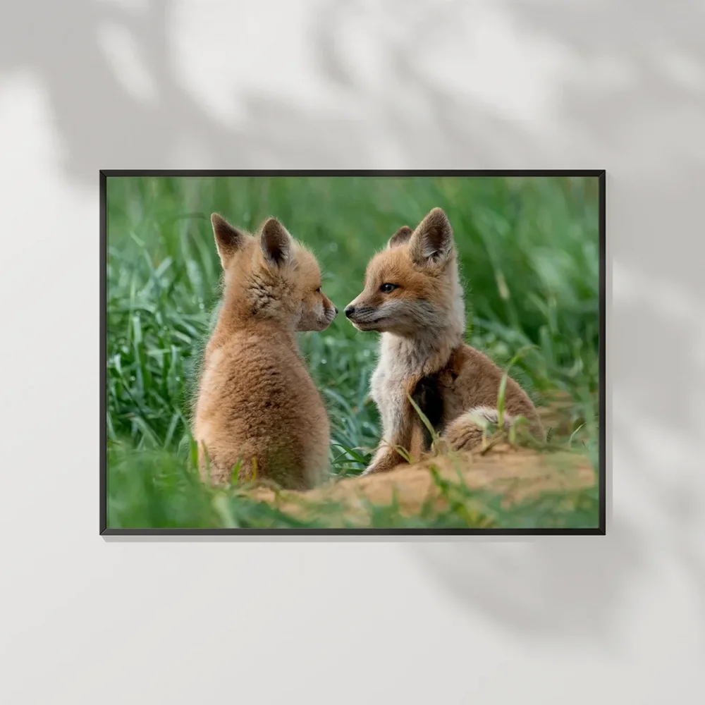 Tilki Dostluğu Poster