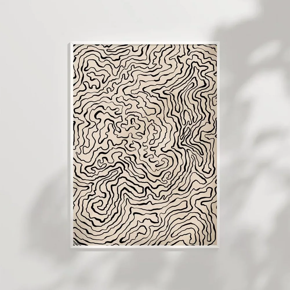 Topografik Harita Görünümlü Poster