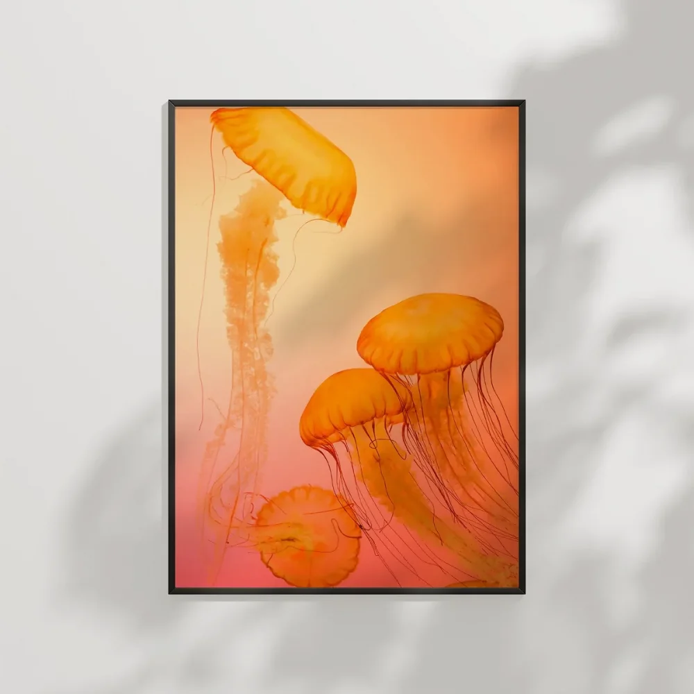 Turuncu Denizanası Poster