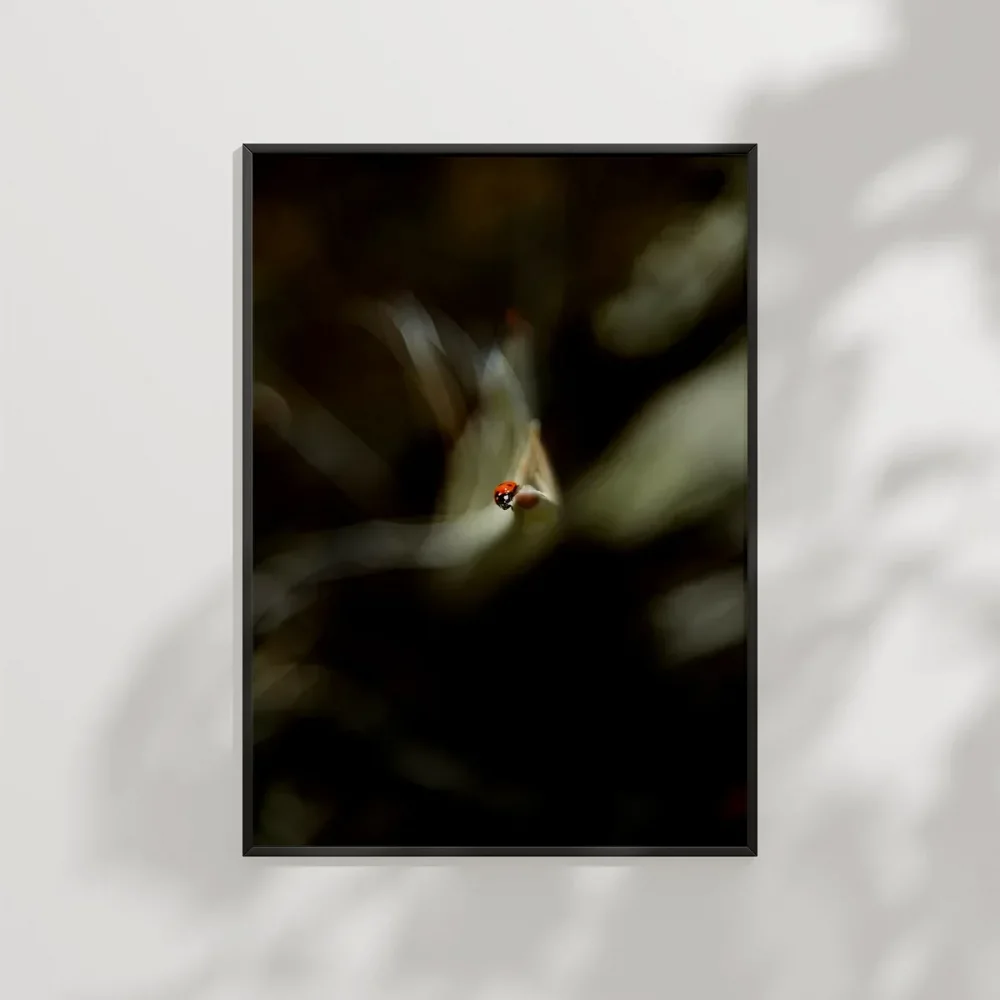 Uçan Küçük Kuş Poster