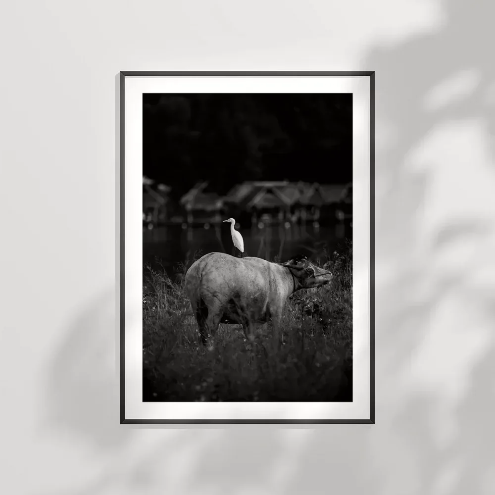 Uyumun Sessizliği Poster