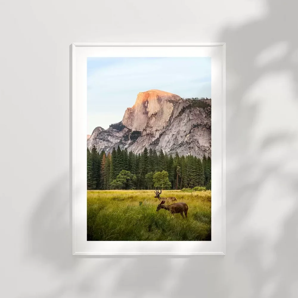 Vahşi Yaşam ve Dağlar Poster