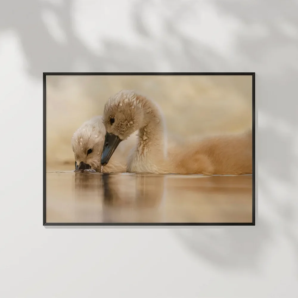 Yavru Ördekler Poster