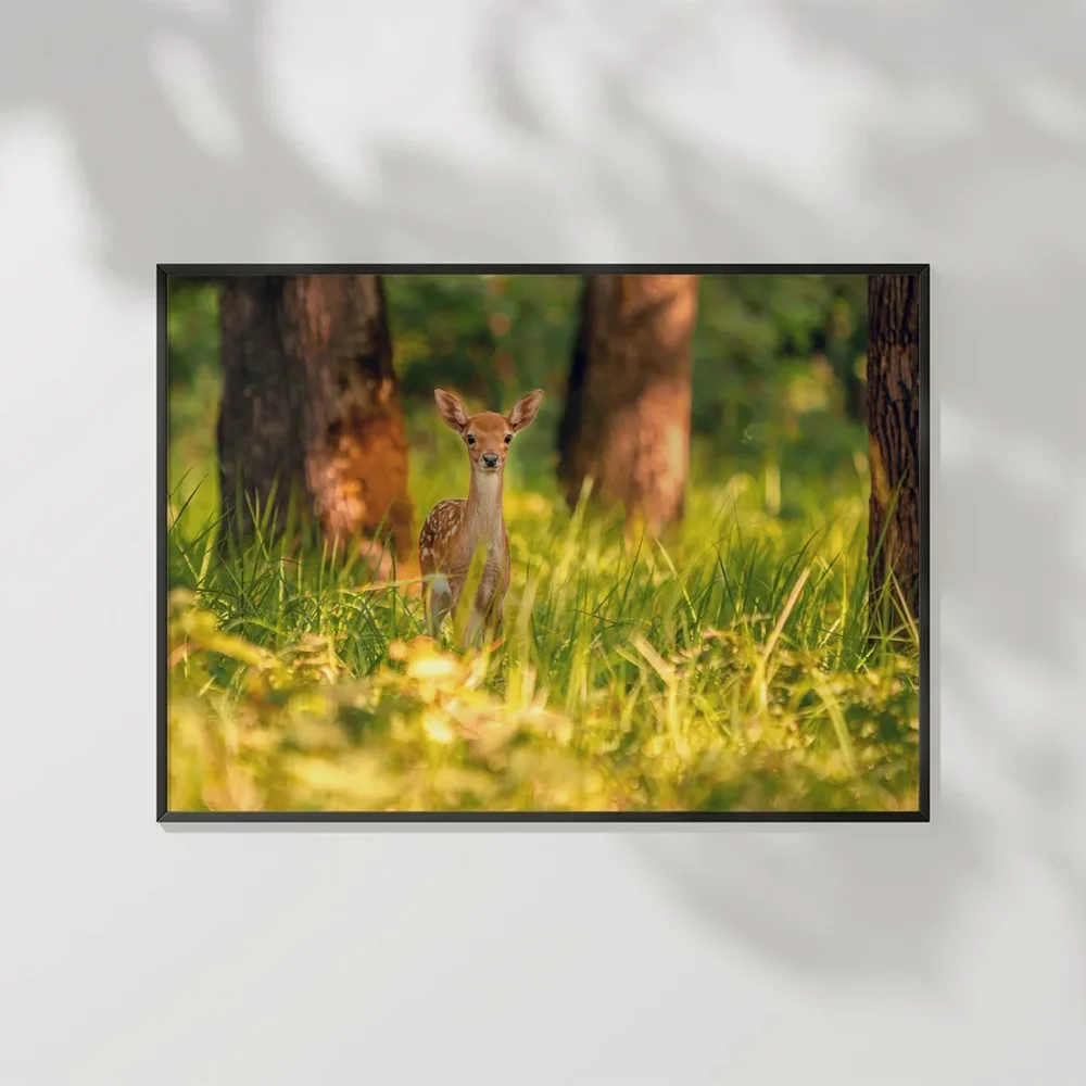 Yeşillikler Arasında Geyik Poster