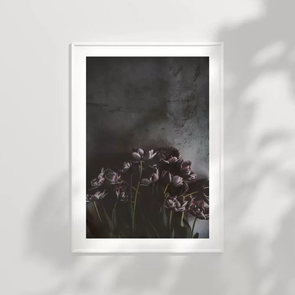 Zarafetin Gölgesi Poster