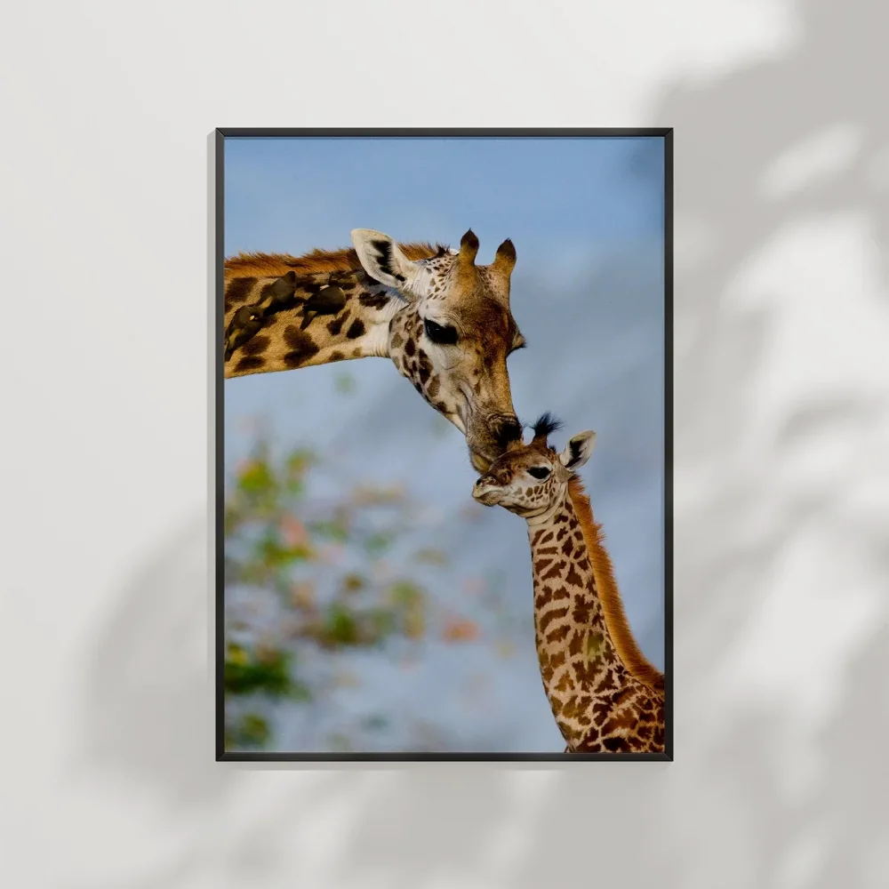 Zürafa Anne ve Yavru Poster