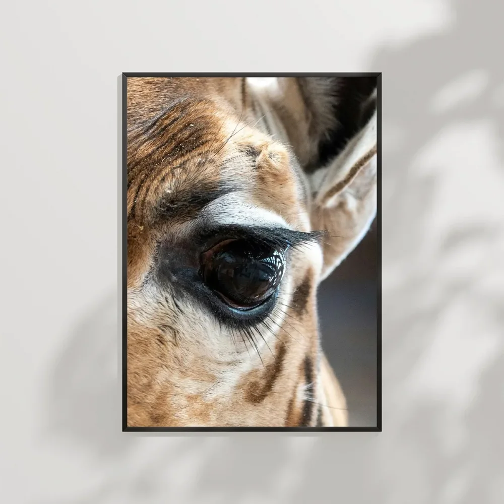 Zürafa Gözü Detay Poster