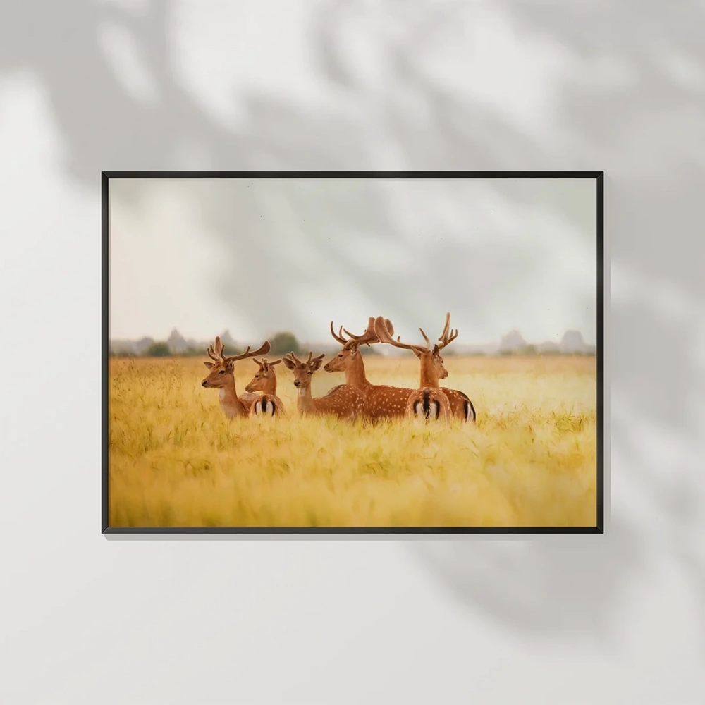 1. Bozkırda Geyik Sürüsü Poster