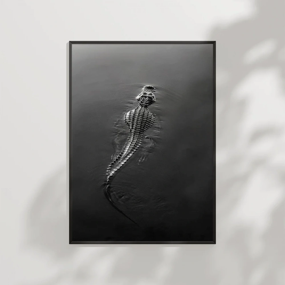 1. Suda Yüzen Timsah Poster