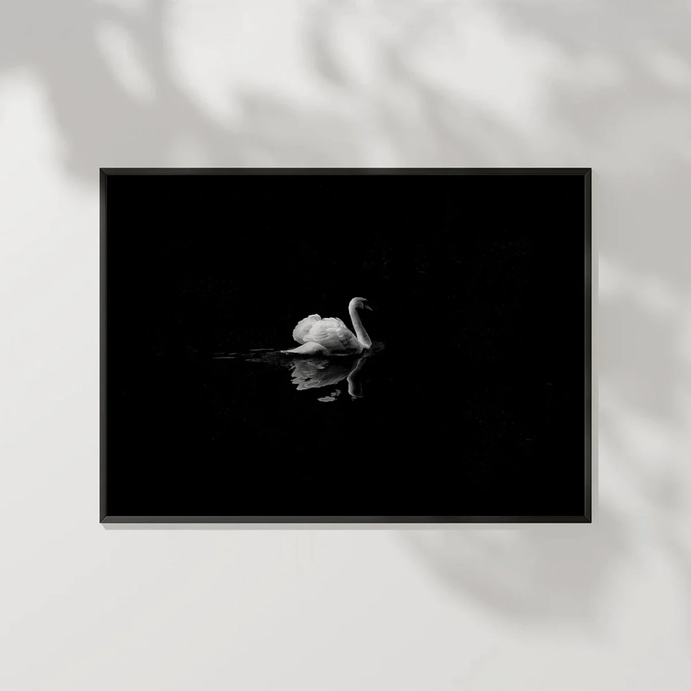 1. Zarif Kuğu Poster